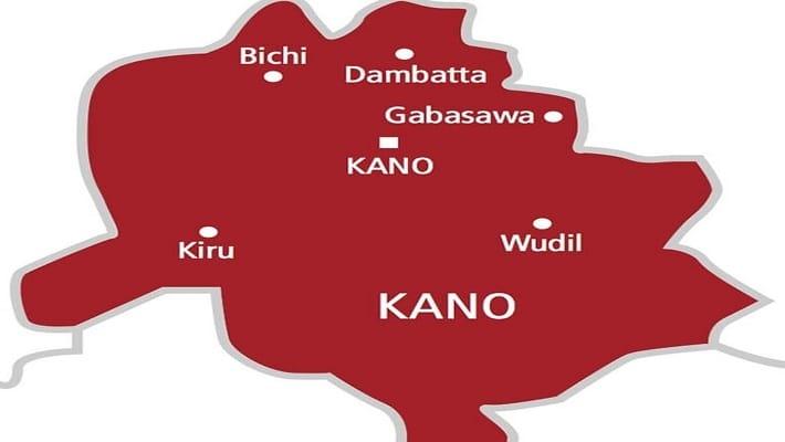 Kano's Drug Abuse Battle Intensifies with New Task Force Committees