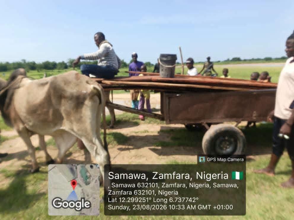 Nigerian troops inspecting the three intercepted canoes meant for terrorist operations.