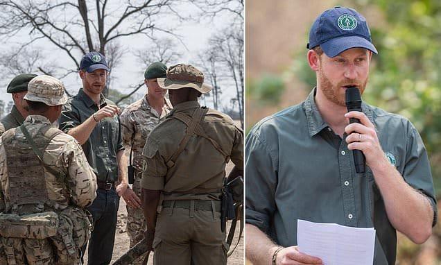 Duke of Sussex Steps Down From African Parks Board Over Abuse Allegations