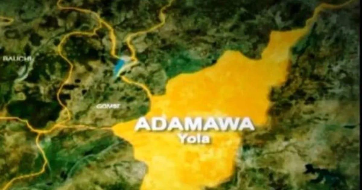 Adamawa Customs Foils Smuggling of N79.86m Fuel, Rice, Other Goods