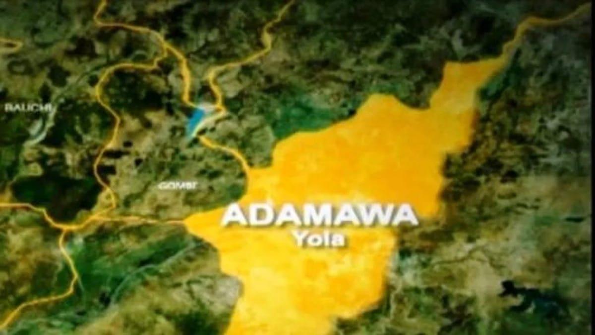 A closer view of the seized items, featuring bags of foreign parboiled rice and cartons of foreign bar soap, confiscated by Nigeria Customs Service in Adamawa.