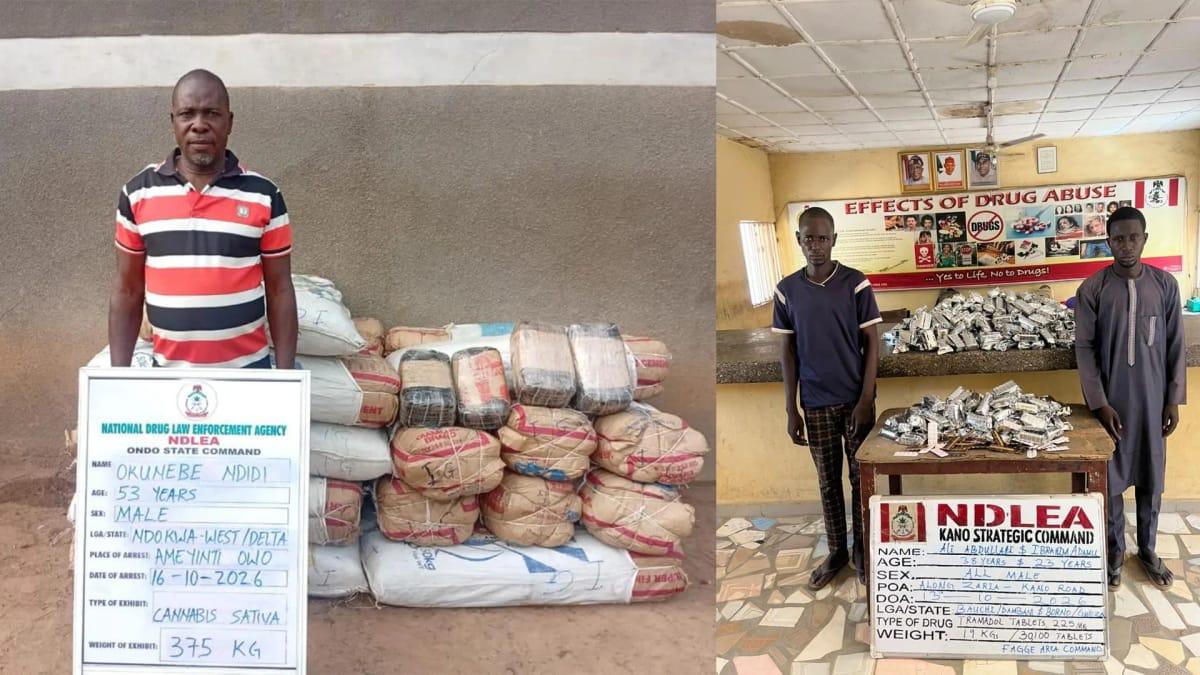 Some of the powdered tramadol recovered by NDLEA operatives.