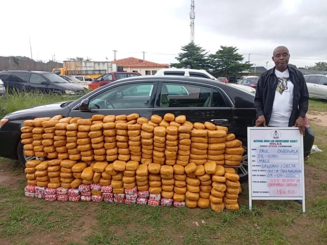 NDLEA Intercepts UK-Bound Drugs, Uncovers Narcotics Stashed in Bread, Speakers