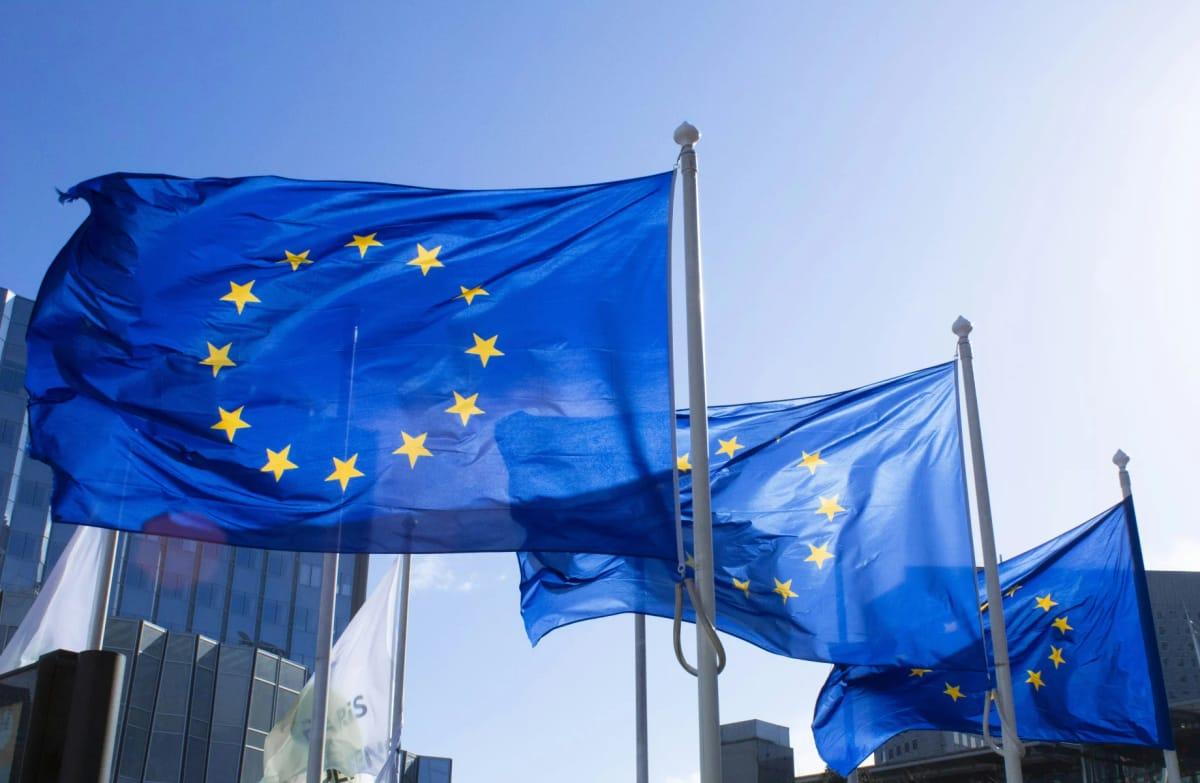 Multiple flags of European Union member states, highlighting the international nature of the Erasmus Mundus scholarship.