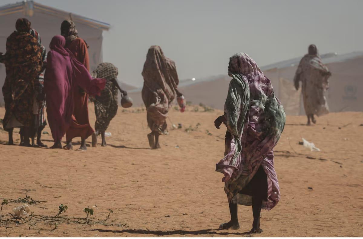 UN Investigators Declare RSF Atrocities in Sudan's Al-Fashir as Genocide