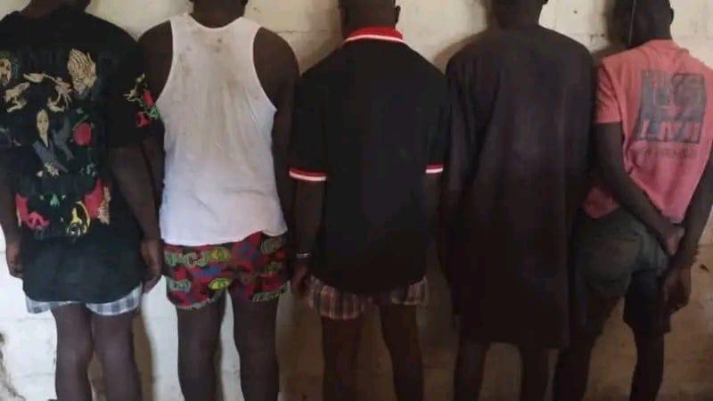 Adamawa Police Nab Five Suspected Shilla Boys in Yola