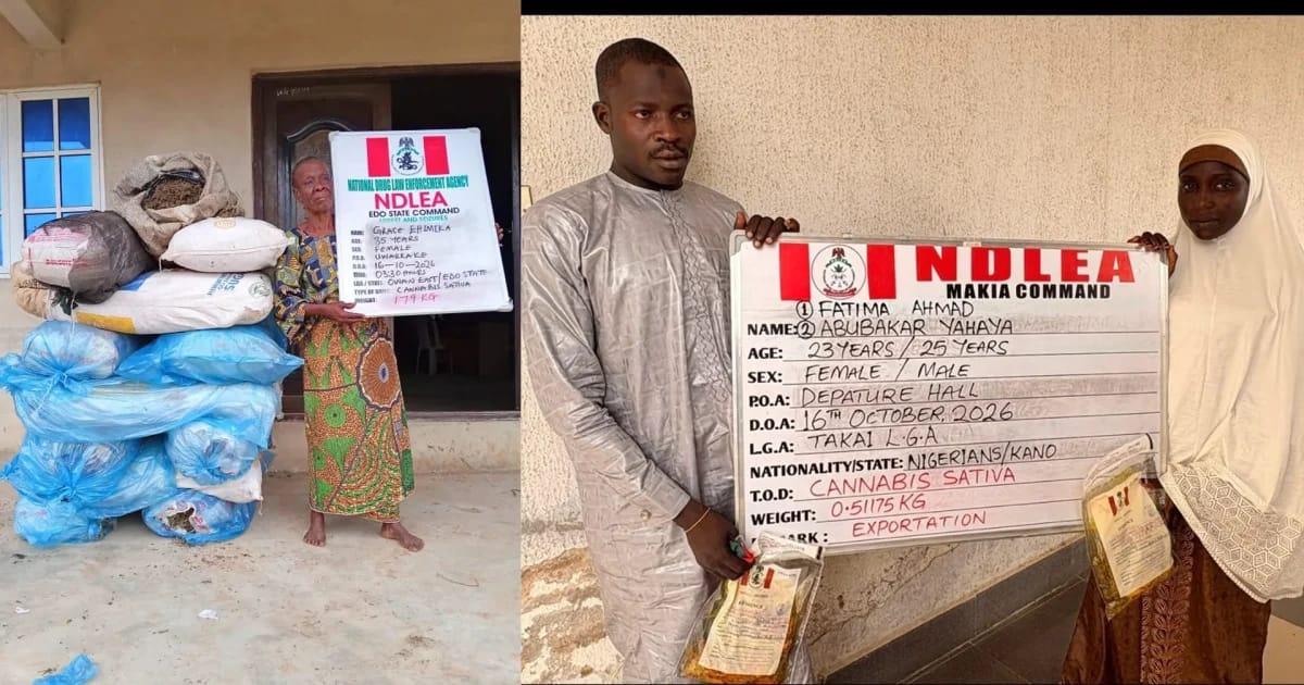 NDLEA Uncovers Cannabis in Palm Oil Bound for Saudi, Recovers ₦6.98bn Tramadol