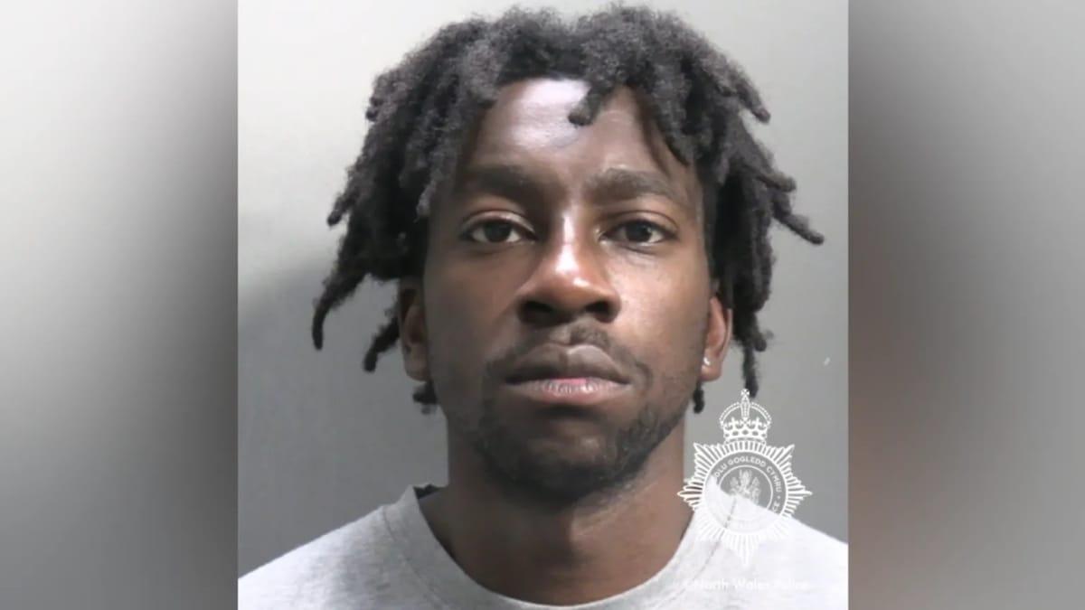 Mugshot of Gift Oladele, released by North Wales Police.