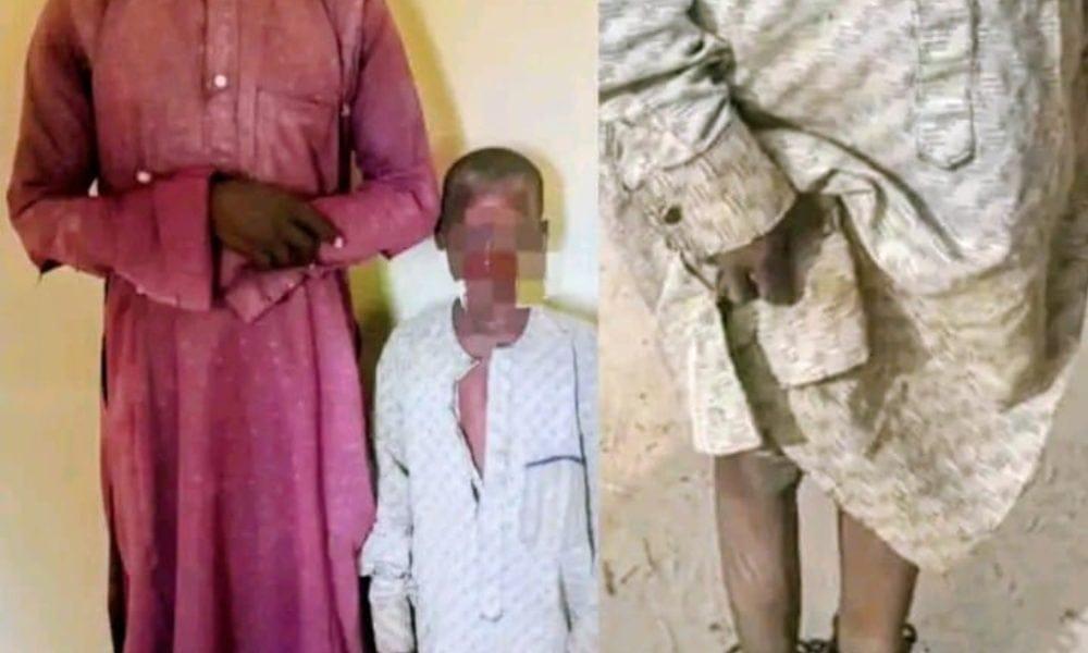 Yobe Police Chief Mandates Investigations into Suspected Homicide, Child Abuse