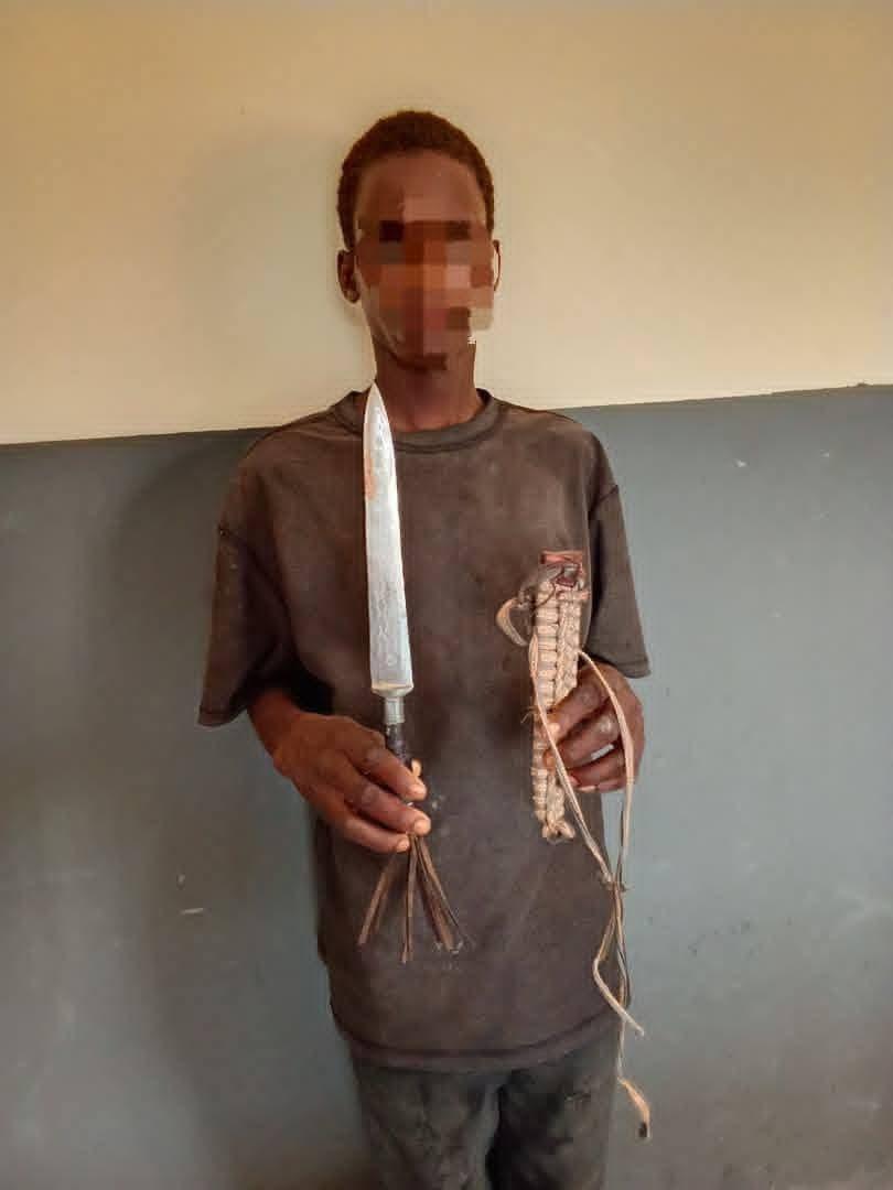 Yobe Police Nab 13-Year-Old After Fatal Stabbing in Damaturu