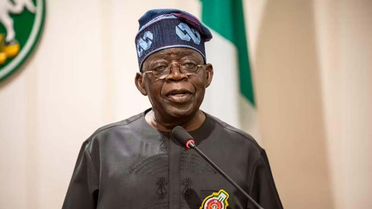 Tinubu Makes Passionate Plea to Diaspora Nigerians to Invest in Nigeria's Future