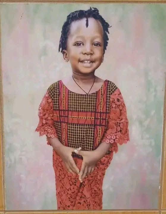 Mother, daughter and two others k!lled as gunmen attack Southern Kaduna community