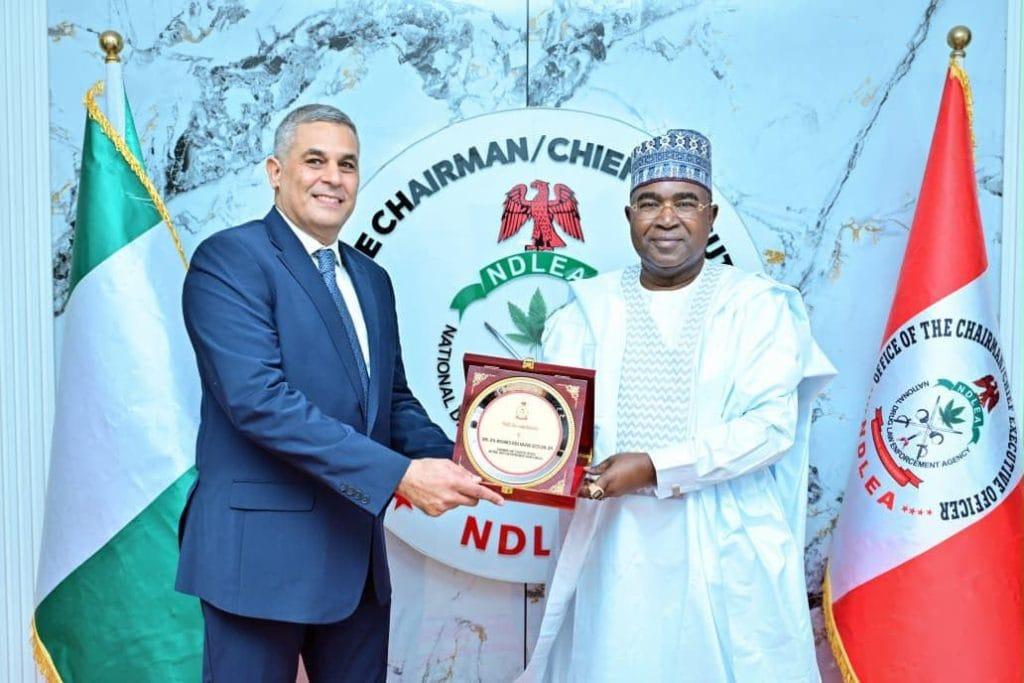 Abuja, Cairo Bolster Anti-Drug Fight with Intelligence-Sharing Pact