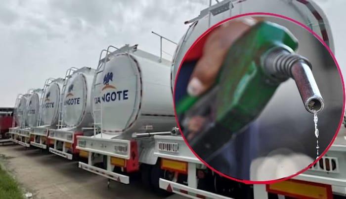 Naira Under Pressure As Petrol Imports Skyrocket By 207%