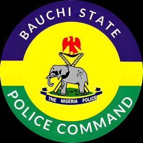 Bauchi Police Arrest 20-Year-Old Woman for Allegedly Killing Newborn Baby
