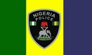 A visual representation of the Nigeria Police Force, highlighting their role in national security.