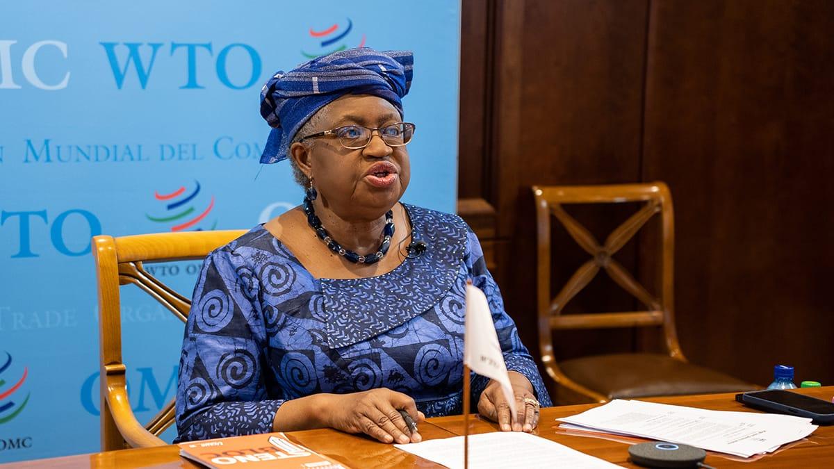 Ngozi Okonjo-Iweala Urges Nigerians to Unite for Enduring Prosperity