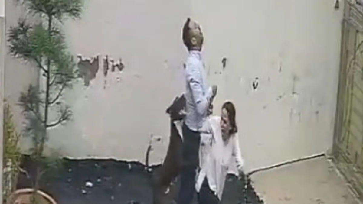 Pit Bull Attack Leaves Couple Injured in India's Ghuman Nagar Area