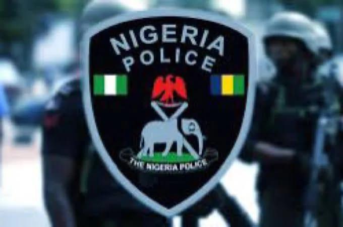 Adamawa Police Apprehend Man, 31, for Online Bullying of Chief