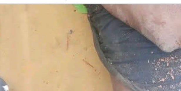Kaduna Community Rocked as Bandits Abduct Doctor, Hakimi's Wife; Two Residents Slain