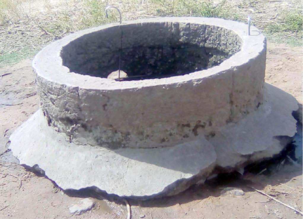 Kano Fire Service Saves Man, Cow From Well Ordeal