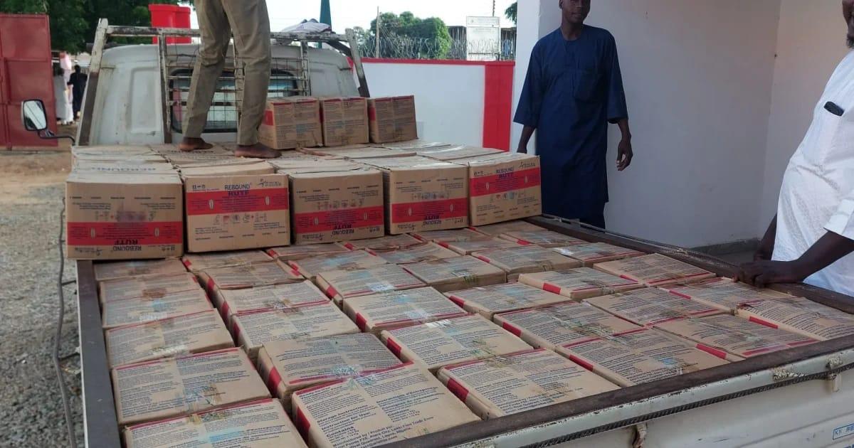 Red Cross Boosts Sokoto's Malnutrition Battle with 700 RUTF Cartons